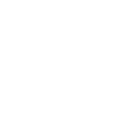 Delyer Swiss